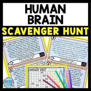 Human Brain Scavenger Hunt Reading Comprehension Activity