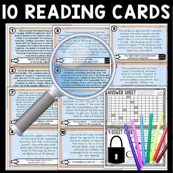 Human Brain Scavenger Hunt Reading Comprehension Activity - Image 3