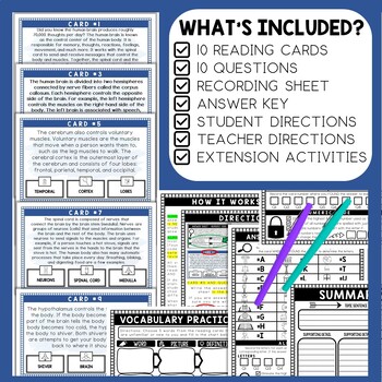 Human Brain Scavenger Hunt - Reading Comprehension Activity - Image 2