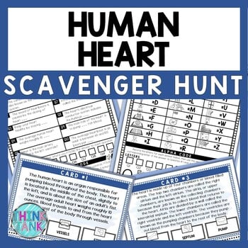 Human Heart Scavenger Hunt - Reading Comprehension Activity