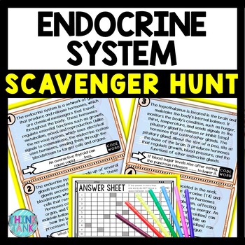 Endocrine System Scavenger Hunt Reading Comprehension Activity