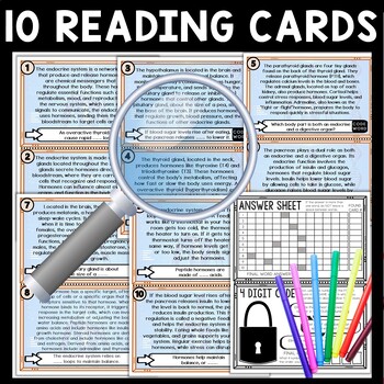 Endocrine System Scavenger Hunt Reading Comprehension Activity - Image 3