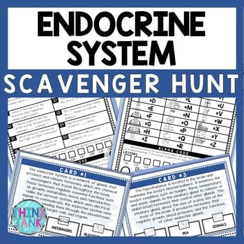 Endocrine System Scavenger Hunt - Reading Comprehension Activity