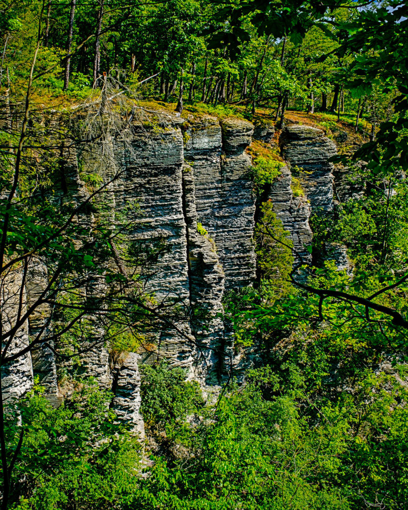 cliffs at sims-jennings-nature-preserve