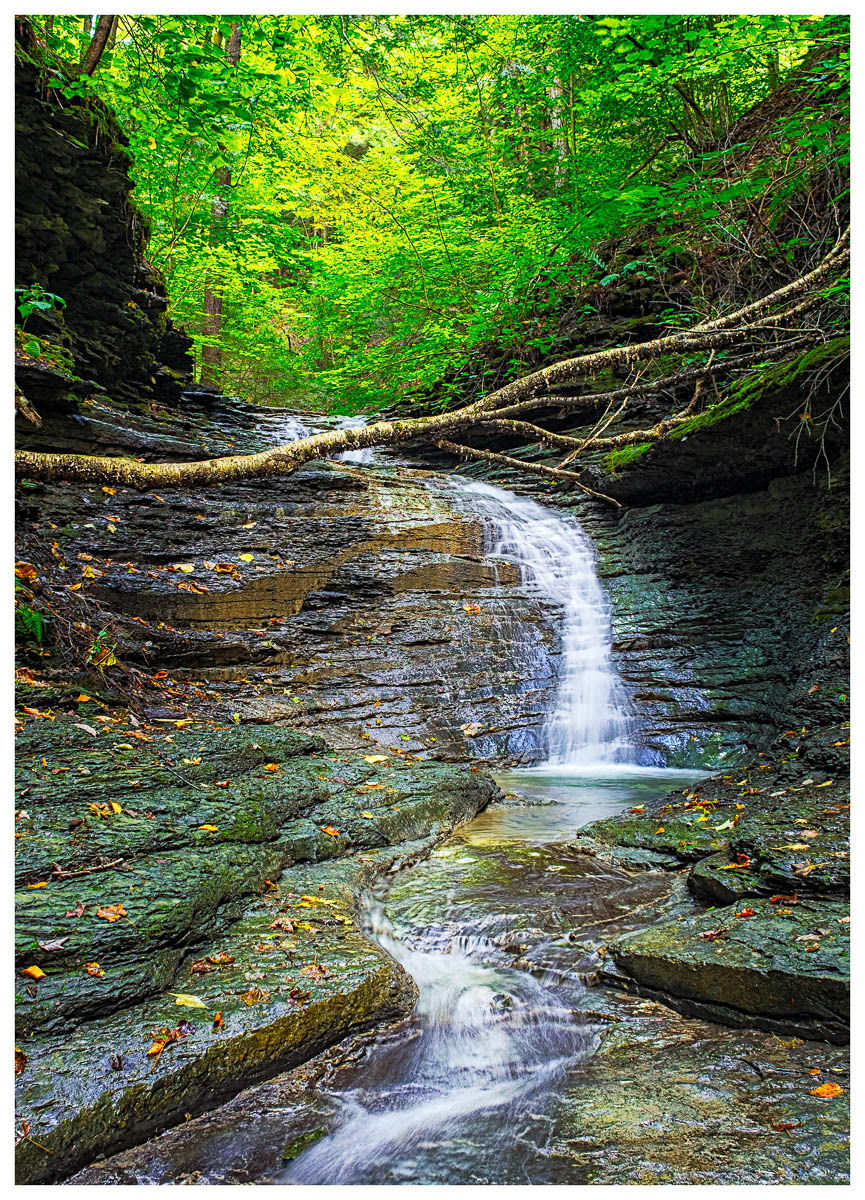 Water cascading down a ravine cut in to shale bedrock.