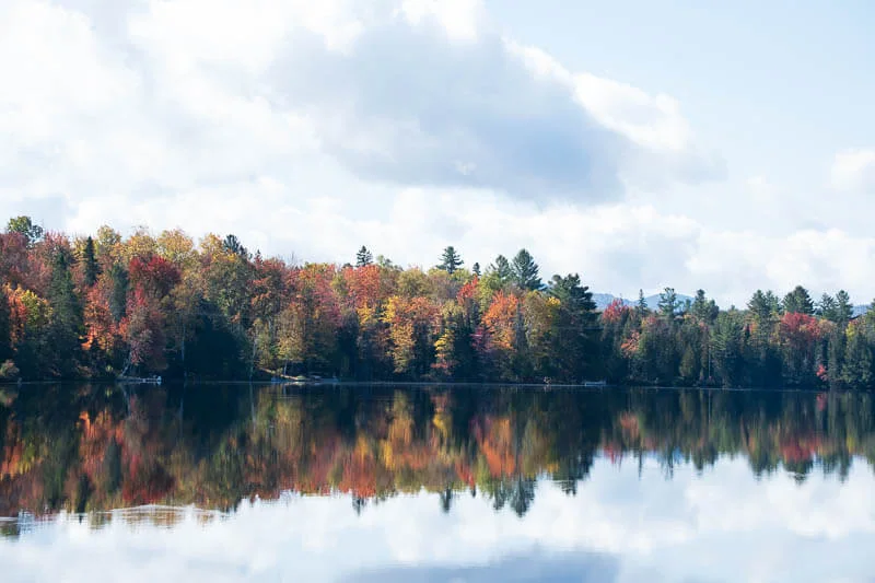 an image with adobe landscape profile added