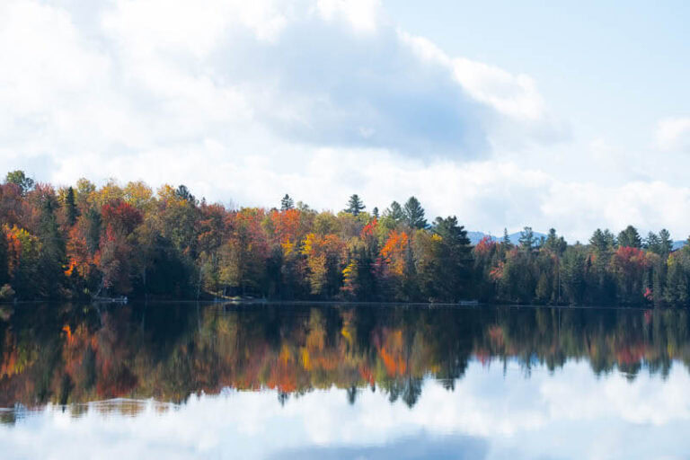 an image with a candy rich lightroom profile added