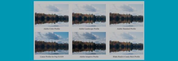 Lightroom and Camera Raw Profiles Explained: The 5 Most Common