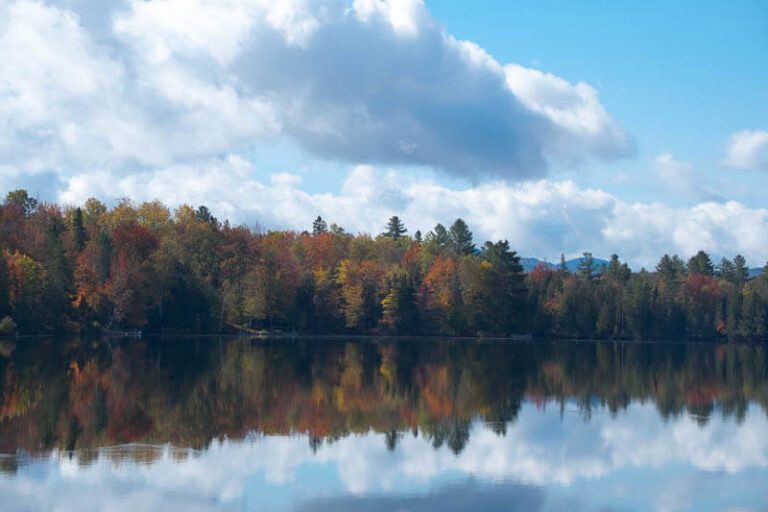an image with a linear profile added