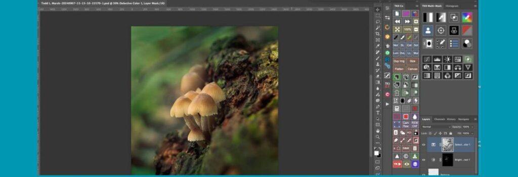 plugin that makes editing easier for photographers. The tk9 plugin for Photoshop