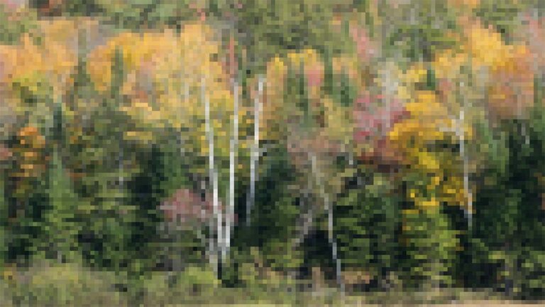 how does lightroom and photoshop work with image data a comparison