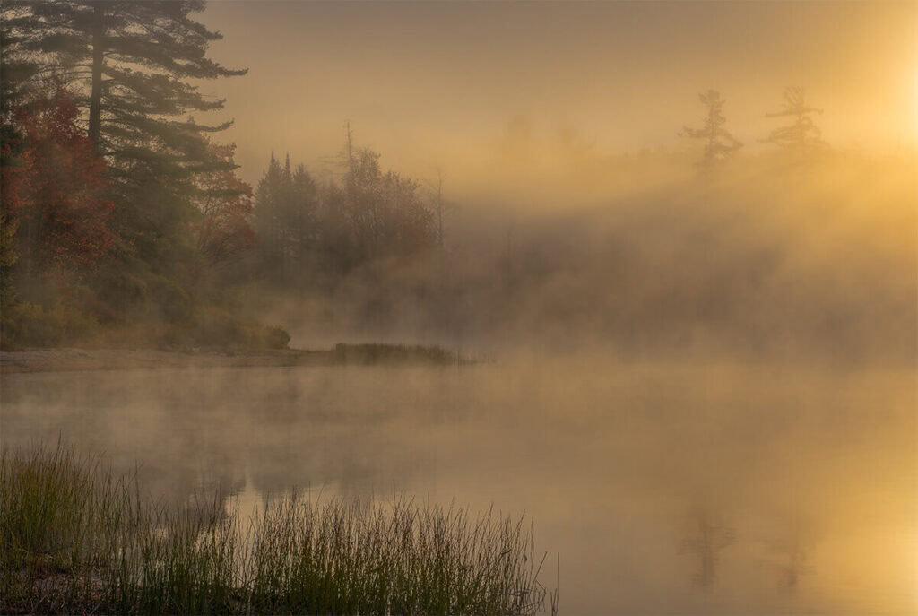 Foggy sunrise at Moss Lake Big Moose Road Adirondacks
