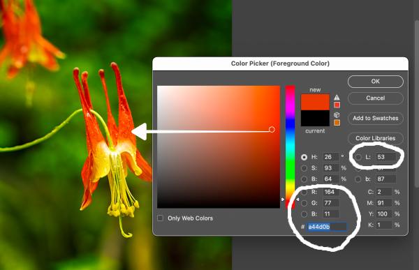 what determines the color of a pixel