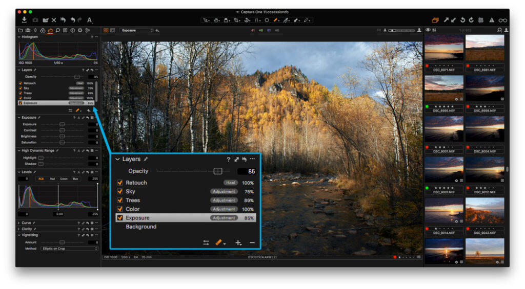 capture one interface