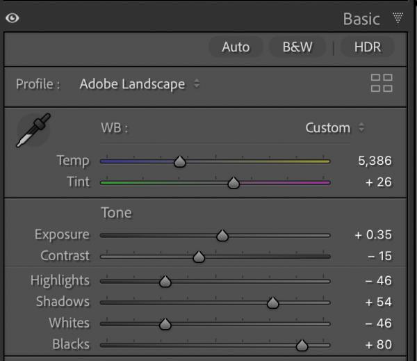Lightroom Basic Panel
