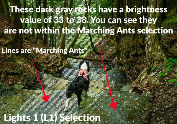 Lights 1 luminosity selection showing marching ants