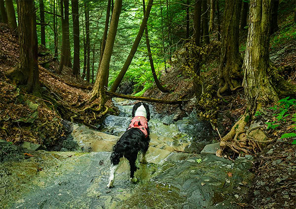 Image of Caden on top ledge of waterfall