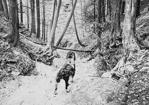 TK-9 Midtones 3 Mask Applied