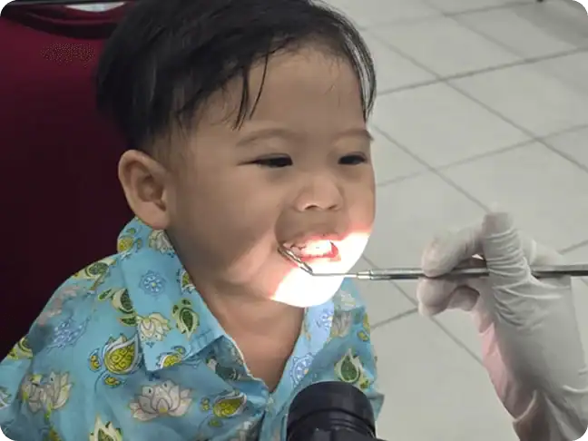 tooths kingdom goes to school