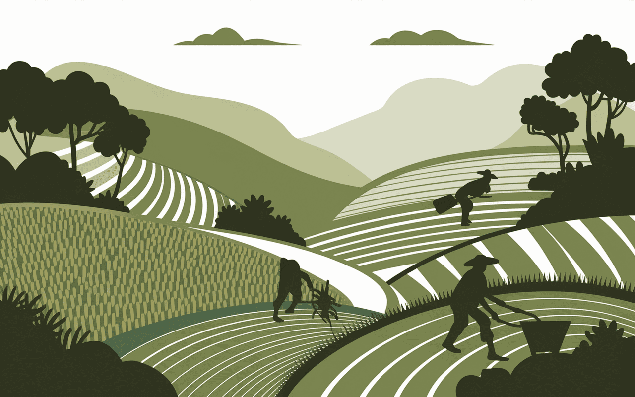 Pride rice rizières terrasses tradition illustration