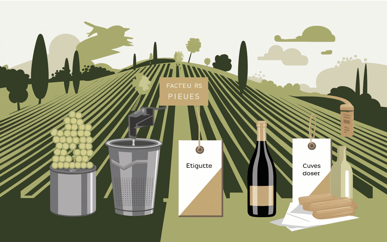 Prosecco prix facteurs vignobles infographie