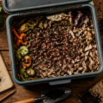 vers de terre compost dans bac lombricompost