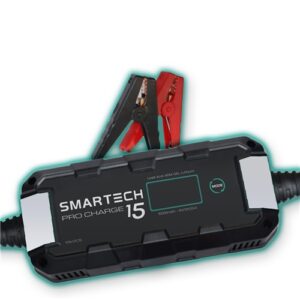 Battery charger for 6/12/24V vehicles with 15A capacity.