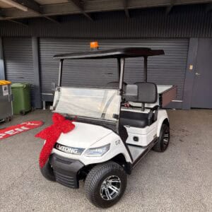 Electric Utility Cart for Commercial Use.