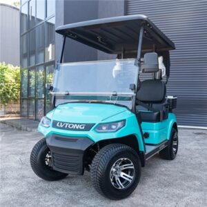 Electric 2-seater golf cart with canopy, ideal for leisure and transport.