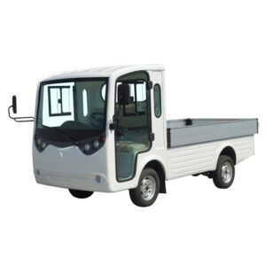 Electric utility vehicle with tray for industrial and commercial use.