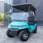 LVTong 2 Seater Premium Golf Cart