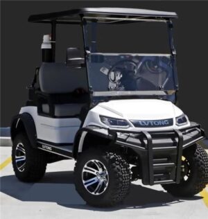 LVTong 2 Seater Lifted Electric Golf Cart