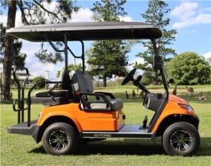 LVTong 4 Seater Electric Golf Cart