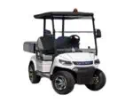 LVTong 2 Seater Short Wheel Base Utility Cart (Ute)