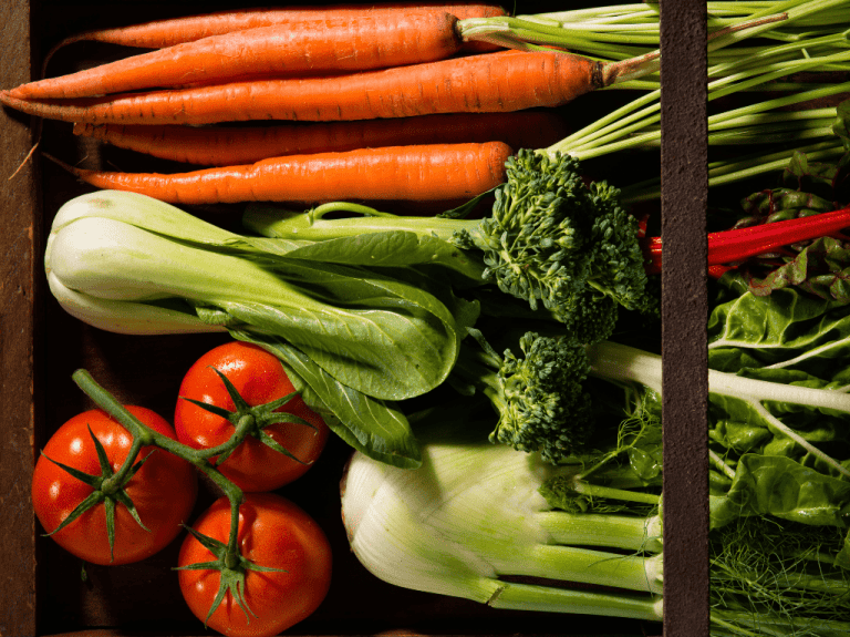 Food For All