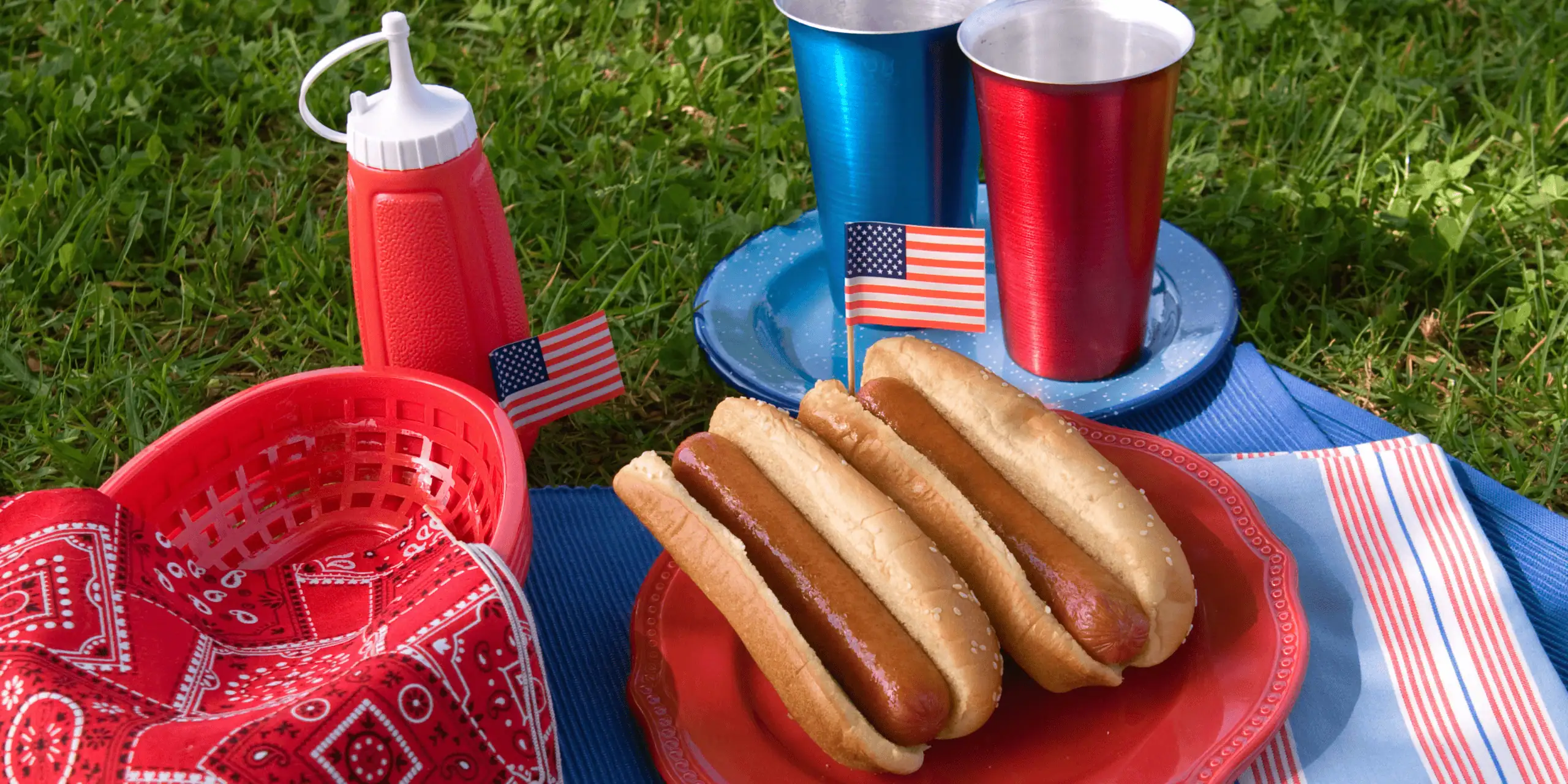 4th of July BBQ and Food Drive