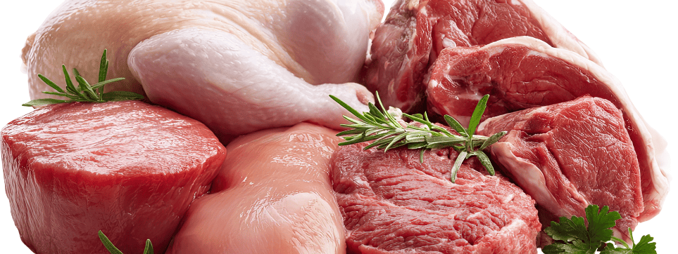 Adopt-a-shelf Meat Protein