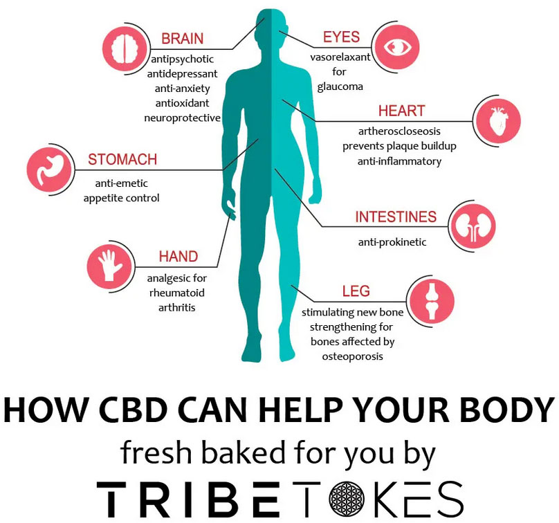 CHRONIC-BACK-PAIN-IMG