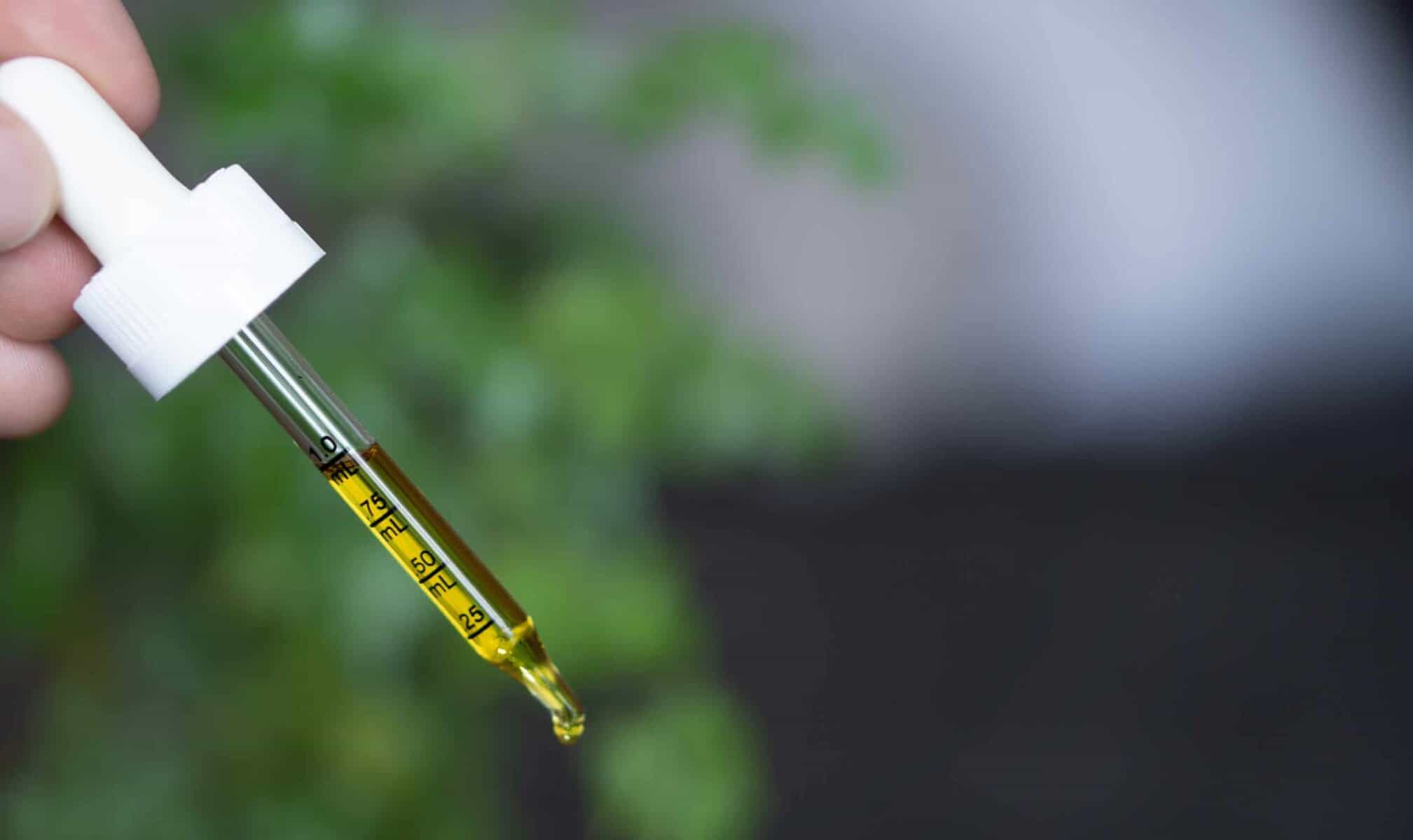 What Does Hemp CBD Oil Taste Like?