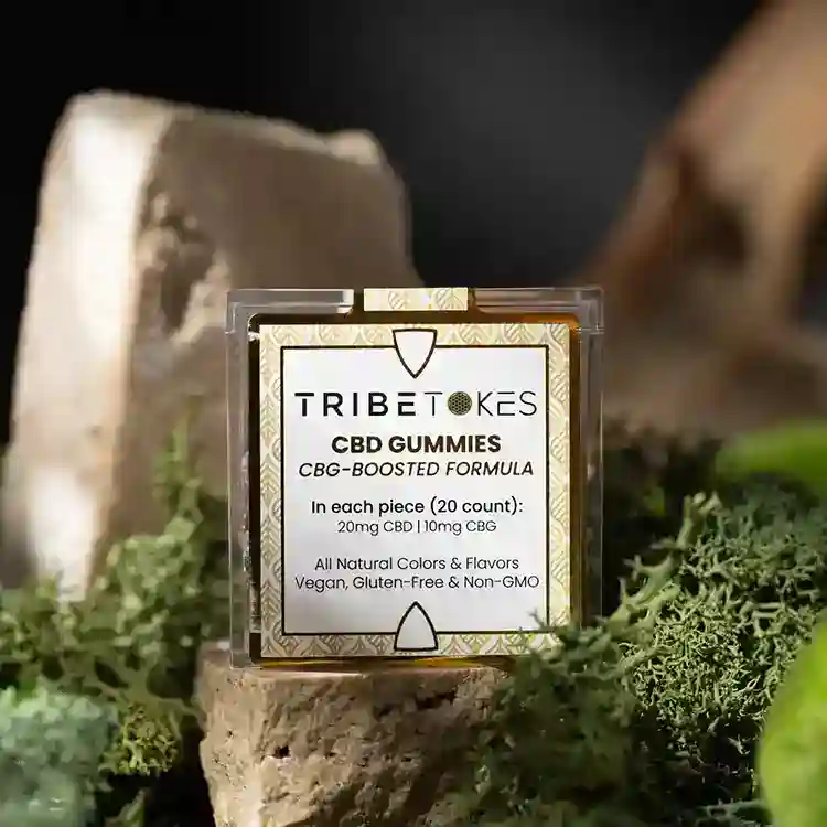 web-6-TribeTokes-LLC_r1_04Z_0189