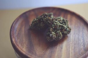 The Ultimate Guide to CBG (Cannabigerol)
