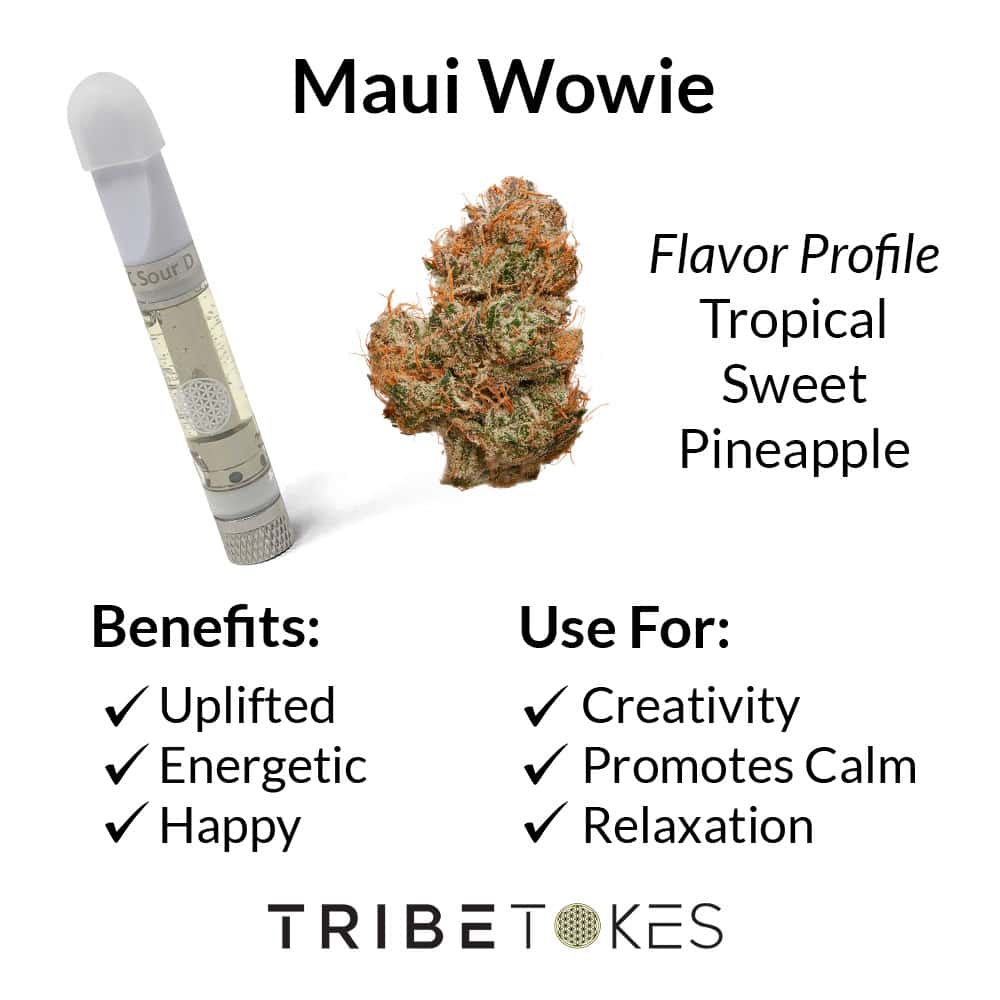 Maui Wowie Strain Profile