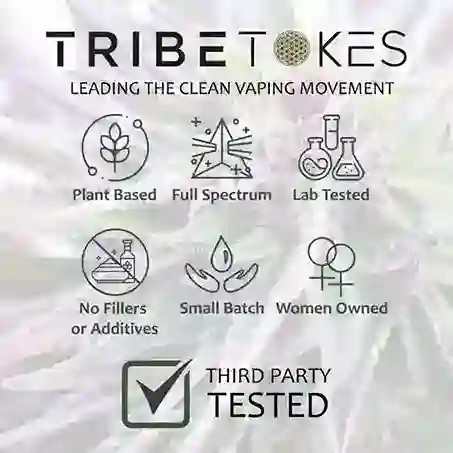 TribeTokes-Who-We-Are-Option-4-768x768_11zon_11zon_11zon