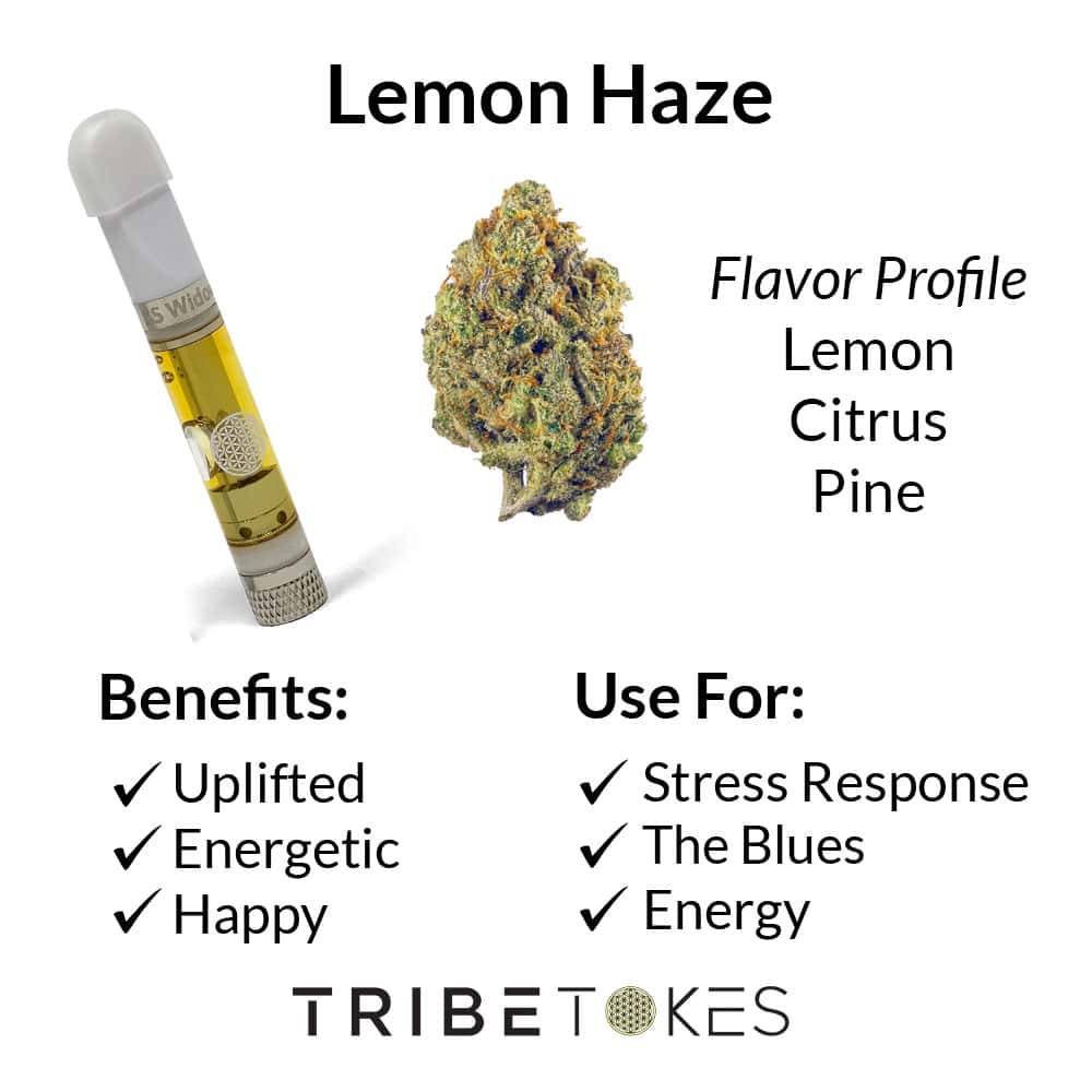 Lemon Haze Strain Profile