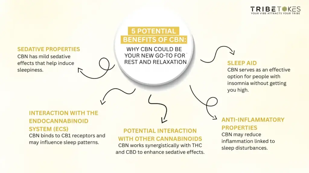 5 Potential Benefits of CBN: Why CBN Could Be Your New Go-To for Rest and Relaxation