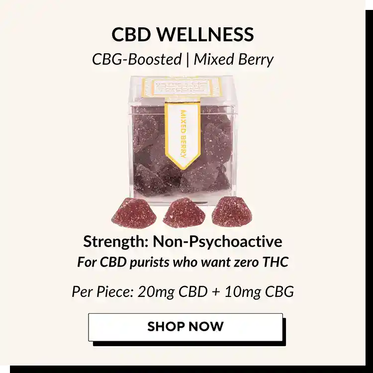 Guide-to-TribeTokes-Gummies-CBD-CBG_Wellness