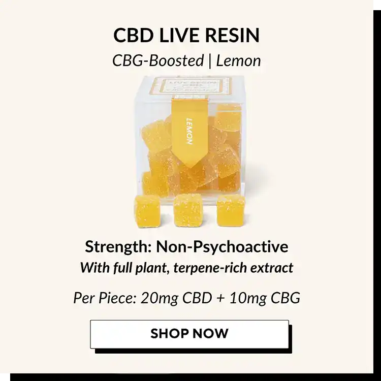 Guide-to-TribeTokes-Gummies-CBD-Live_Resin