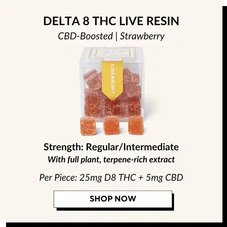 Guide-to-TribeTokes-Gummies-Delta-8-THC-Live_Resin