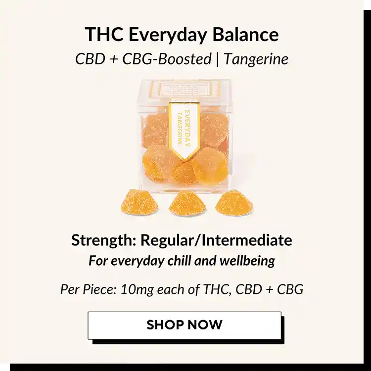 Guide-to-TribeTokes-Gummies-THC-Everyday-Balance