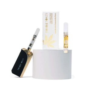 THCa Vape Starter Kit Saber